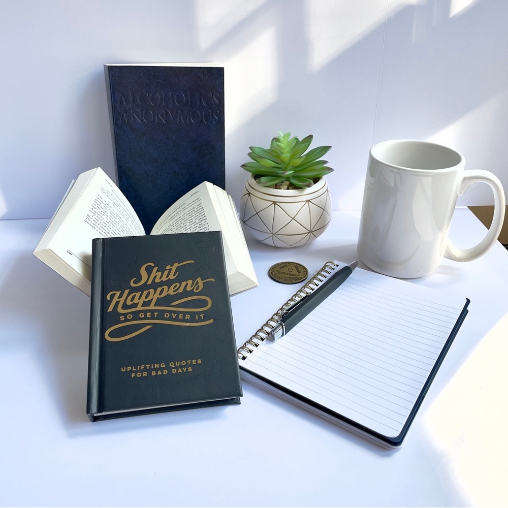 AA Gift Set ✦ Softcover Big Book + Daily Reflections + Shit Happens + REAL 12-Yr